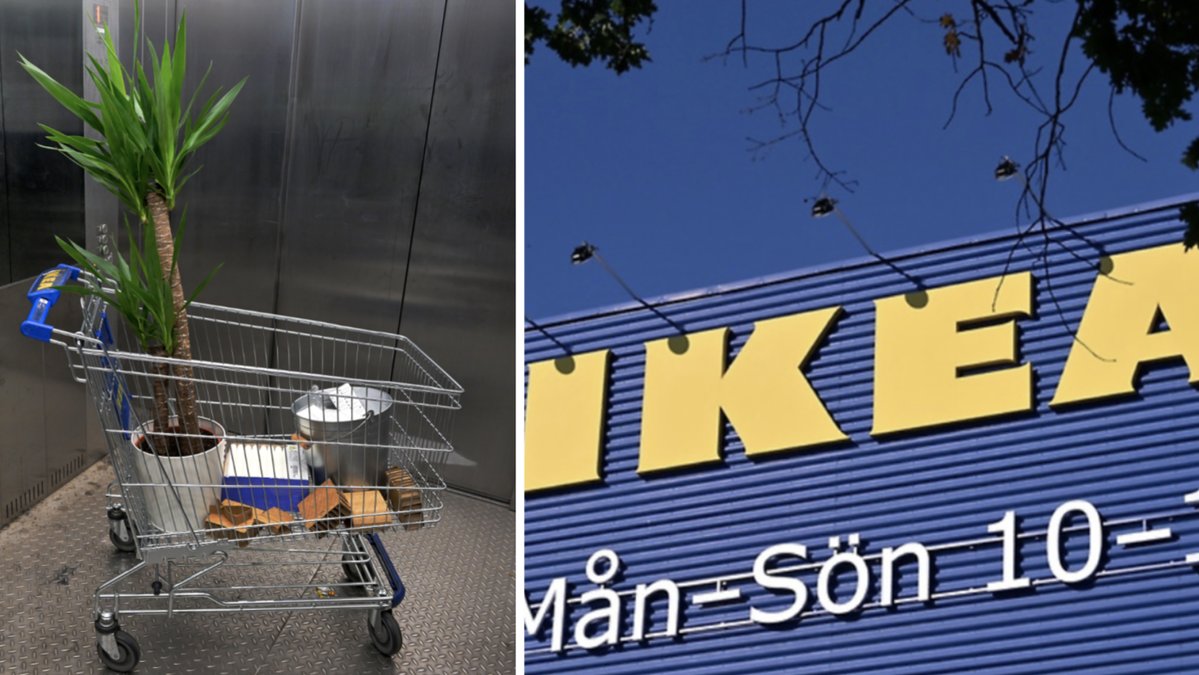 Den 36-åriga kvinnan stal varor från Ikea för nästan 17 000 kronor.